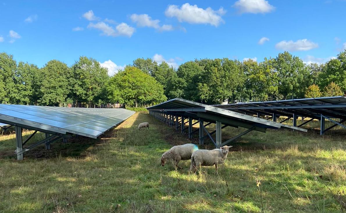 Voorbeeld van reeds gerealiseerd zonnepark 