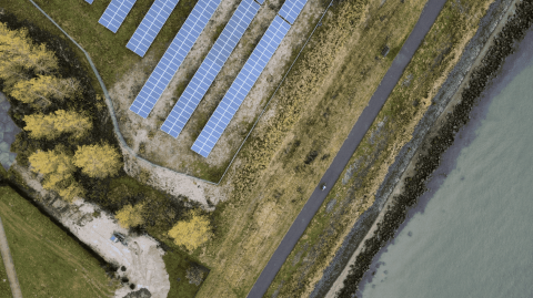 Zonnepark Maassluis Vrijopnaam