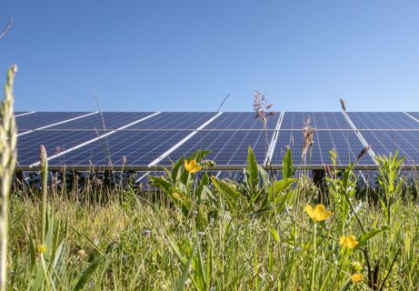 Ecologisch zonnepark waarin Vrijopnaam groene zonnestroom opwekt 