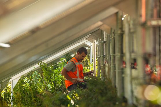 Man werkt aan bouw zonnepark