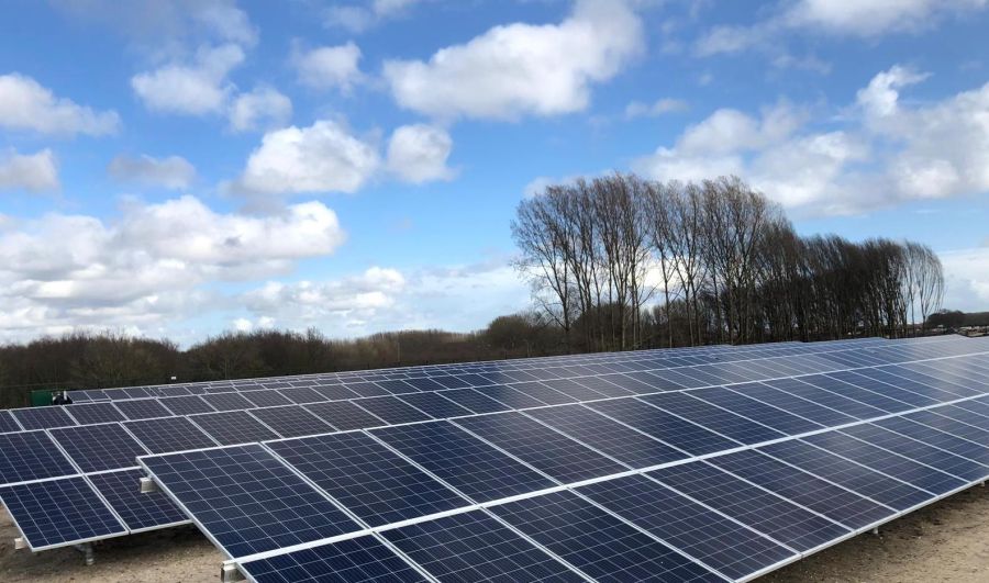 Foto van zonnepanelen in zonnepark Maasluis